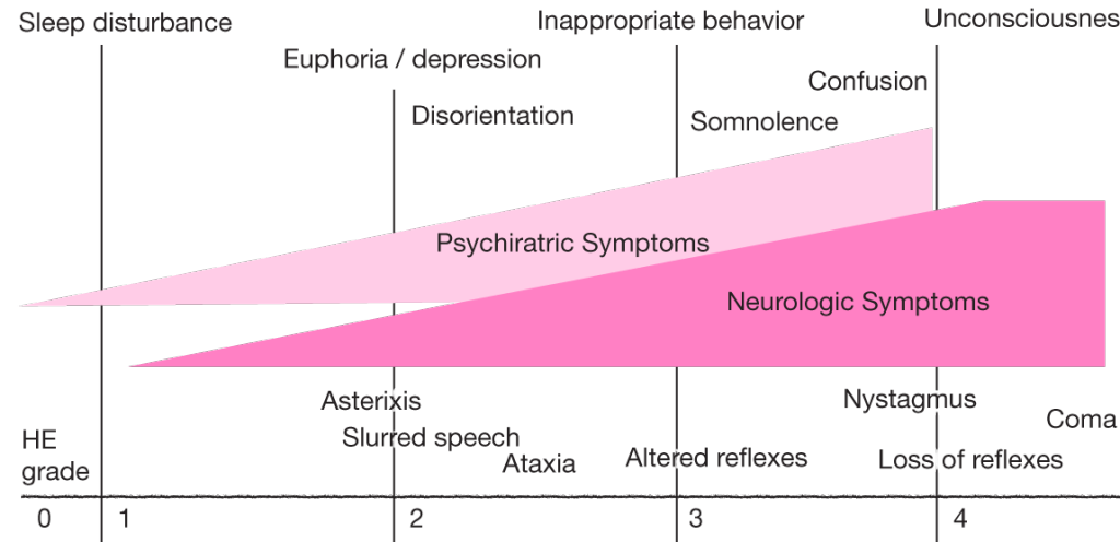 1680_HE_observed_at_each_phase
