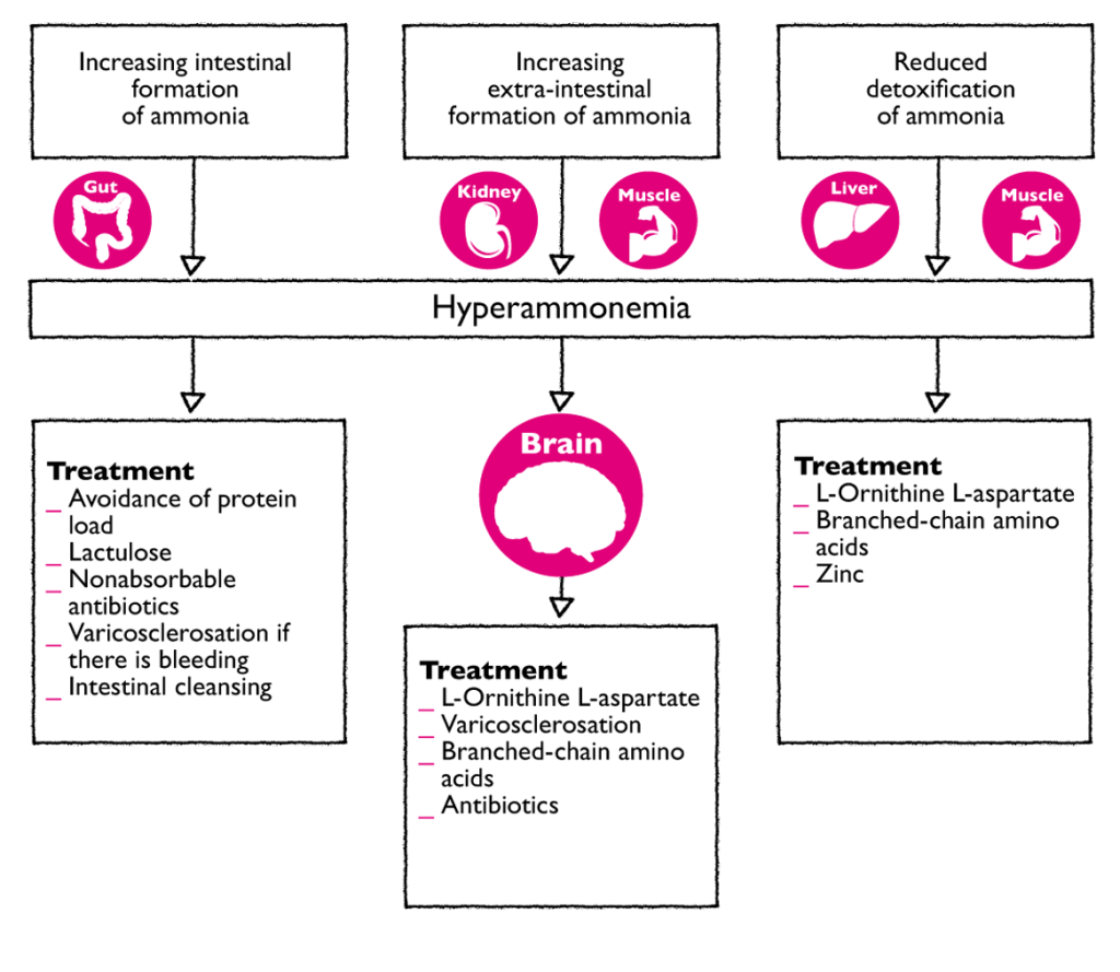 1810_treatment_options_zoom